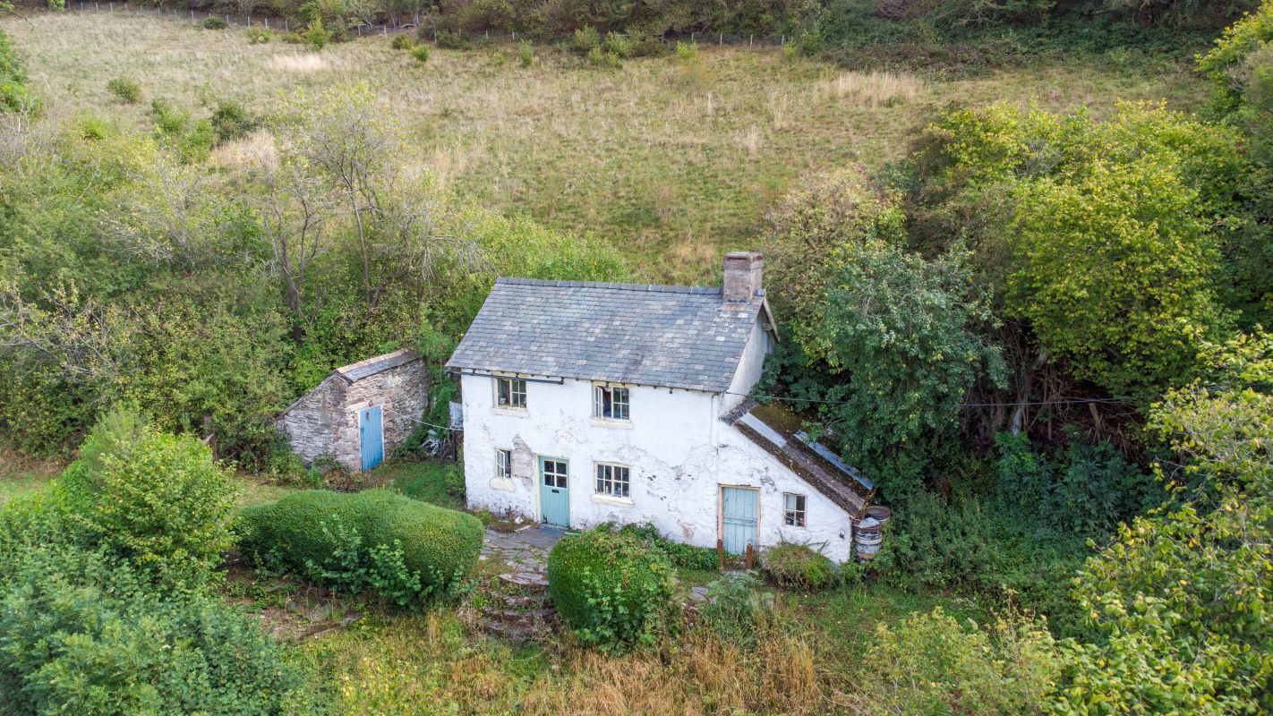 October Auction: A preview of the upcoming Auction.