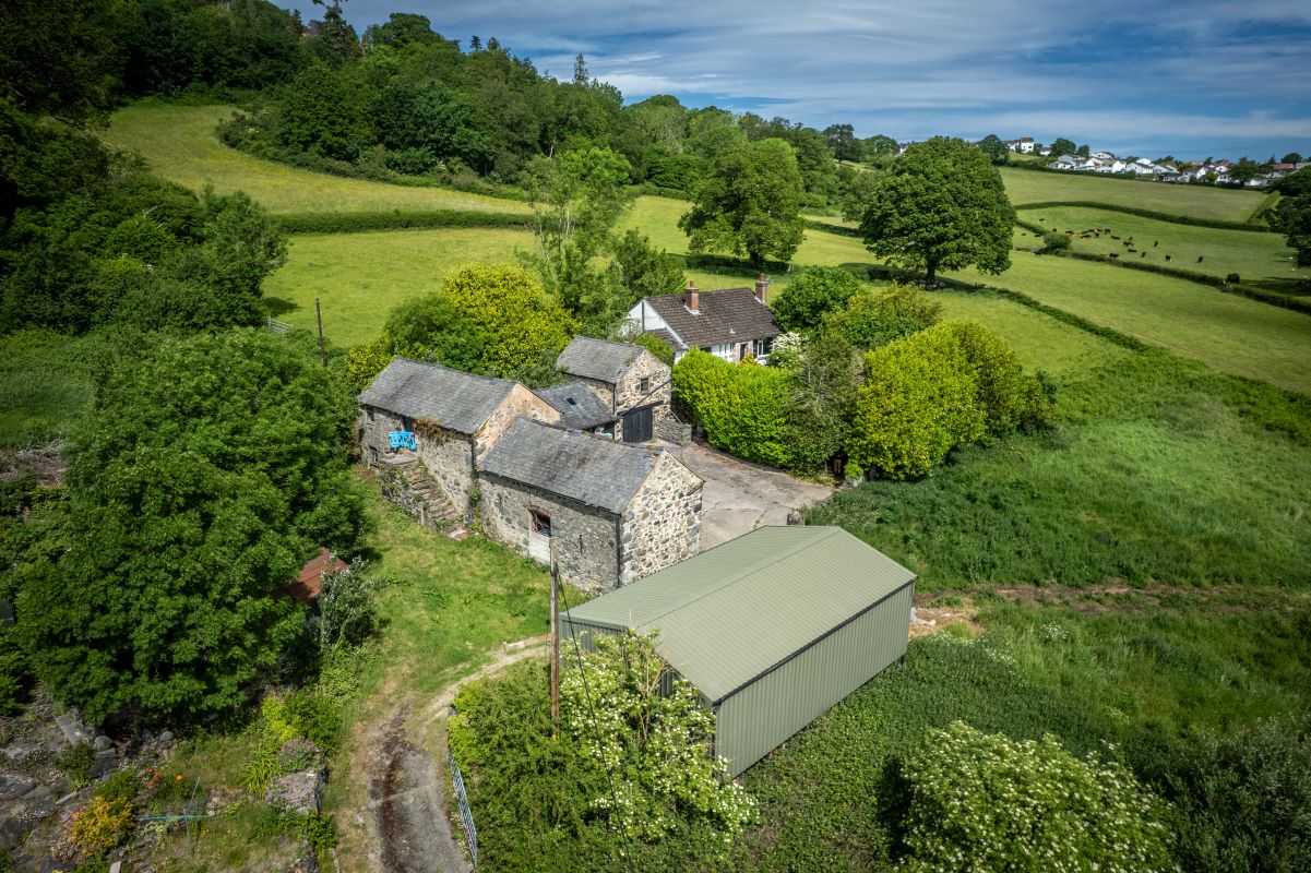 June Property Auction: A Look at the Results